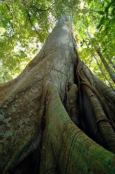 c03c6ed42f9332fbb0587b275042da18