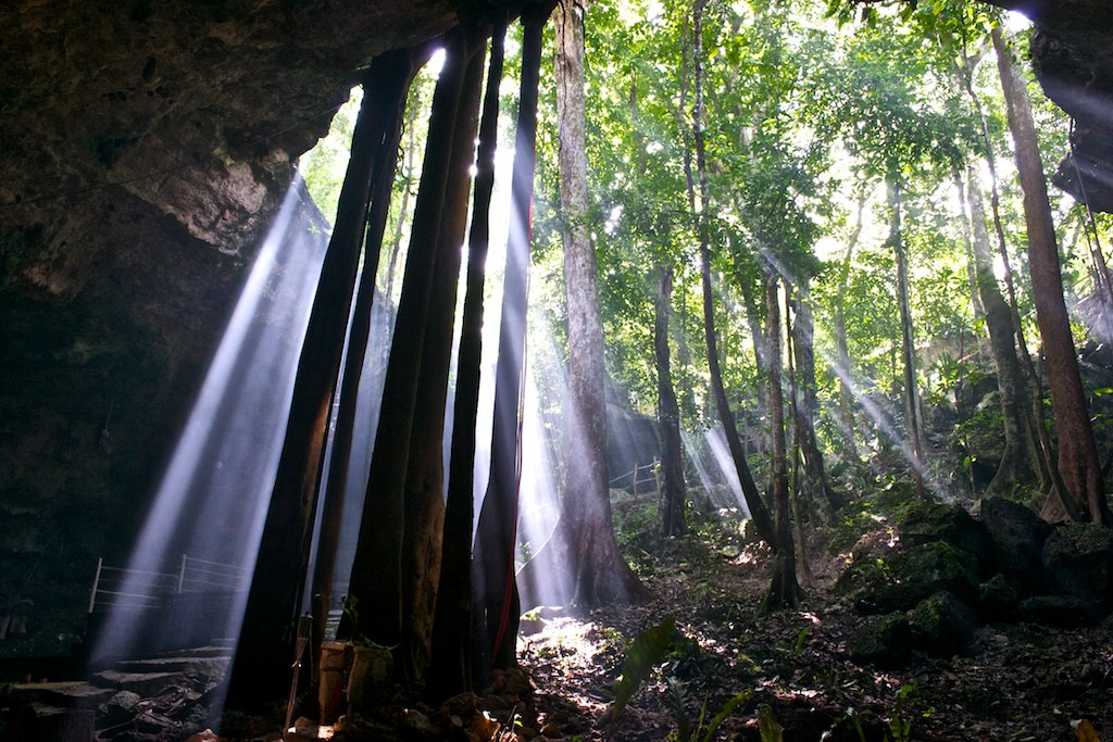 SELVA-MAYA-cc-David-Leonardo-Méndez